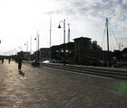 Cervia